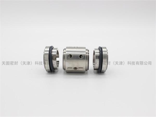 國標(biāo)202機(jī)械密封